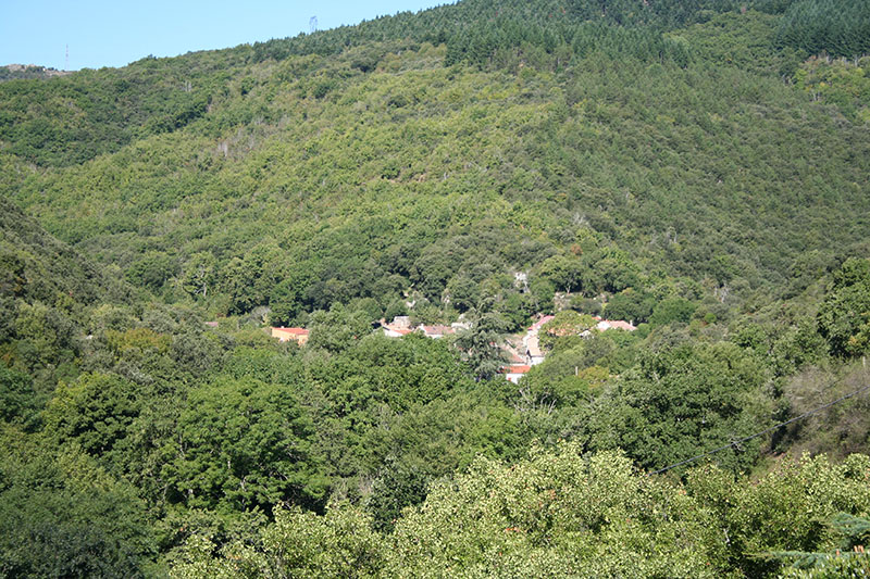 Vue du Bourg de la commune de Boisset