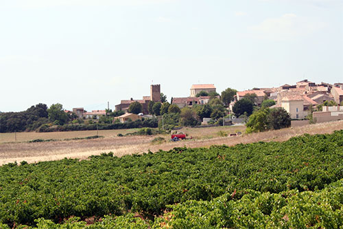 Vue du Bourg de la commune d'Assignan