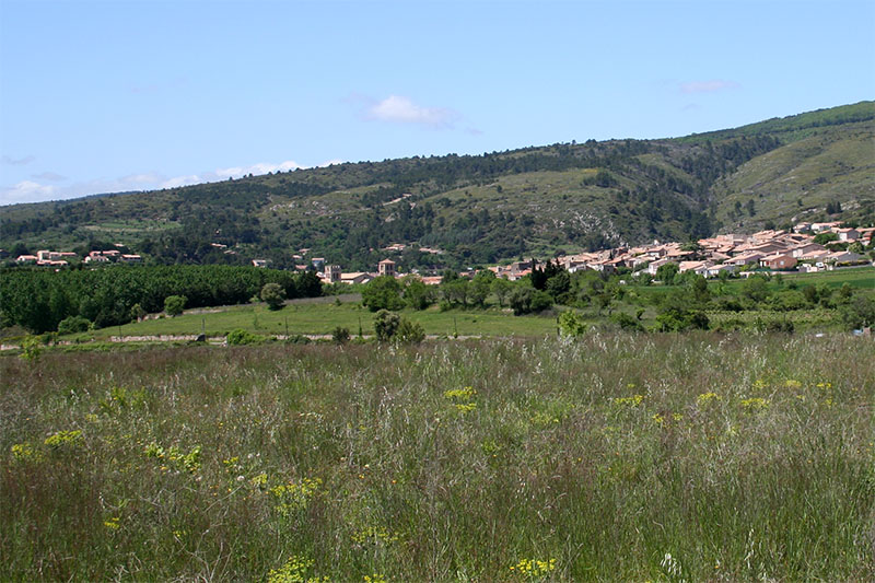 Vue du Bourg de la commune de Caunes-Minervois