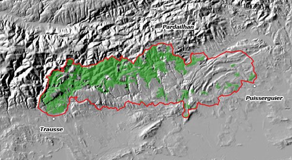 Carte des surfaces boisées dans le Minervois