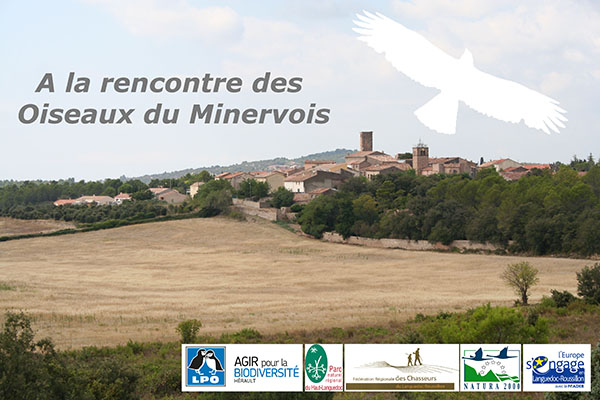 Image de présentation de l'animation