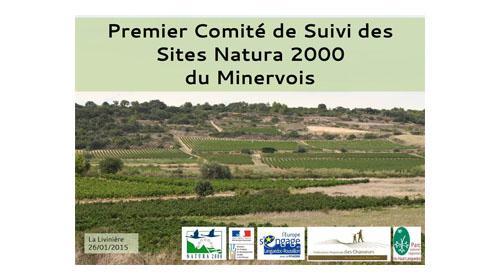 cosui1_2015.jpg